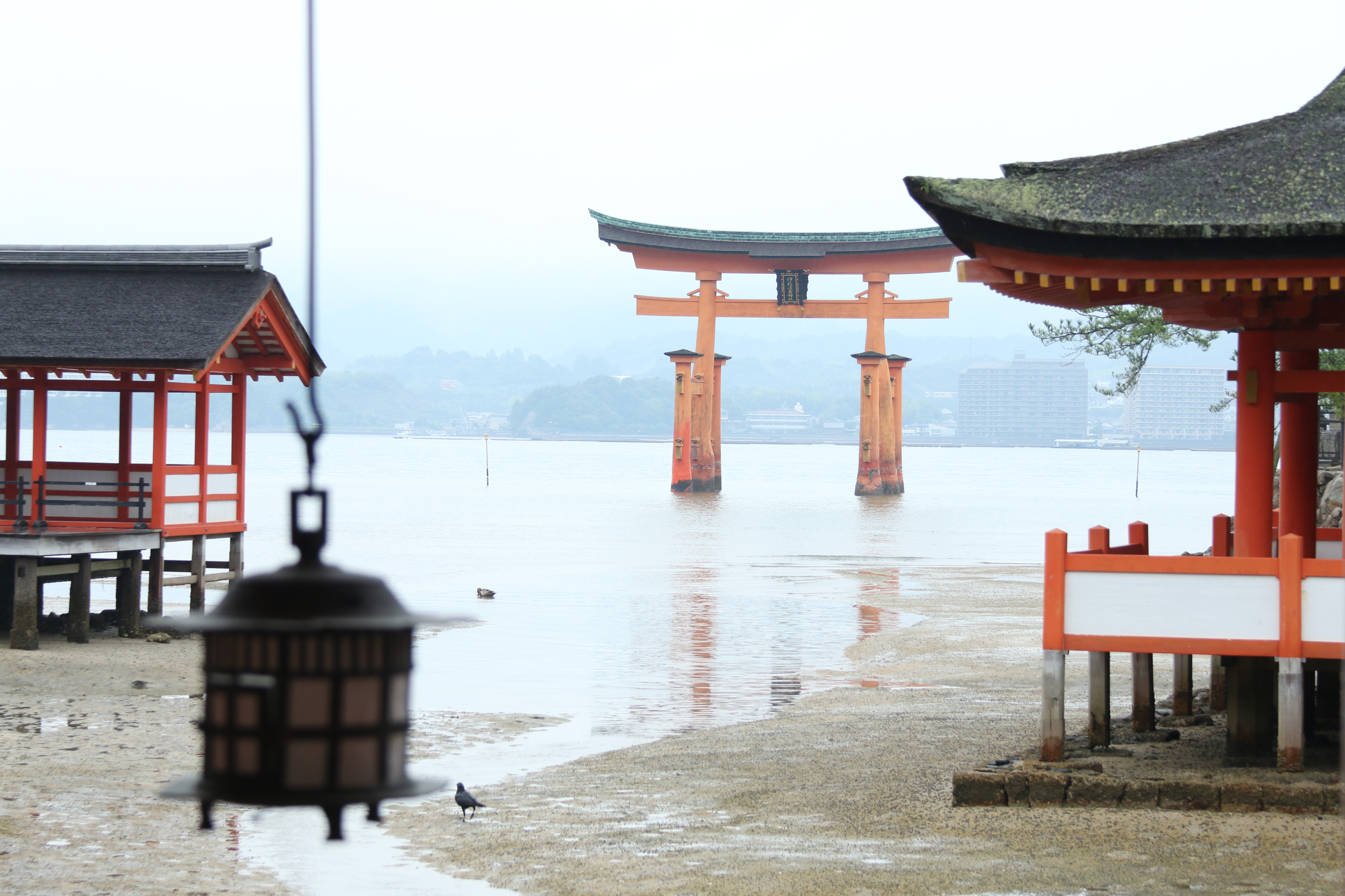 1 day in Miyajima : the pink travel society