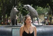 Fuente de los Coyotes CDMX