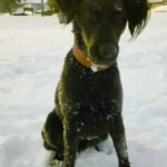Maïa loves snow