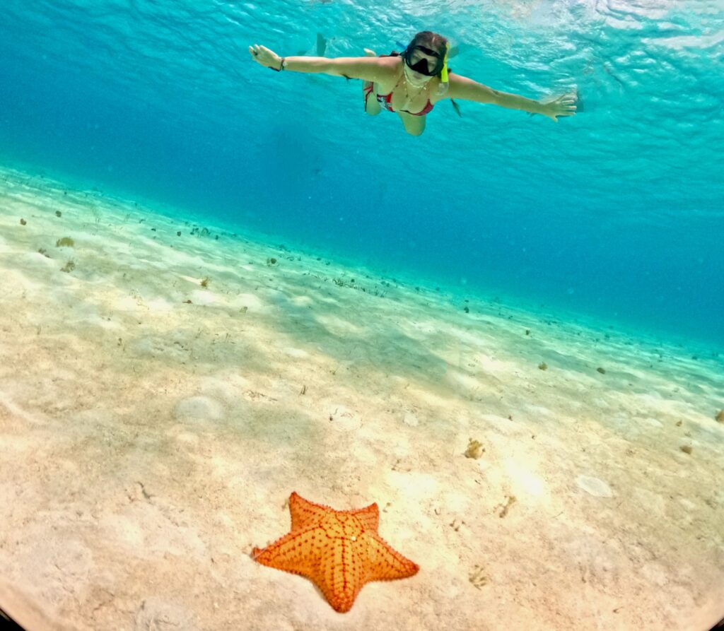 estrellas de mar cielo y cileito