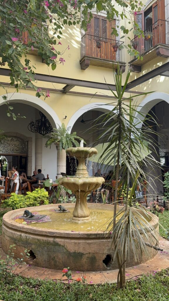 meson del marques, valladolid