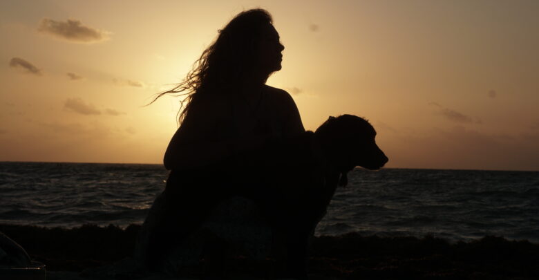 perro en la playa 72 en playa del carmen